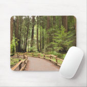 USA, Kalifornien, Marin Landkreis, Muir Woods Mousepad (Mit Mouse)