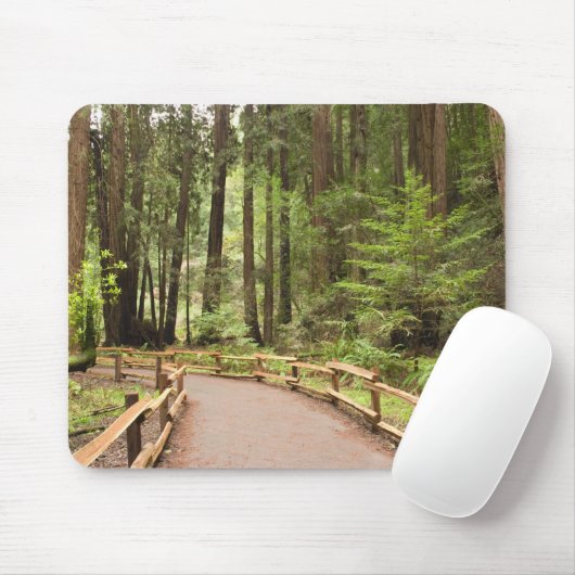 USA, Kalifornien, Marin Landkreis, Muir Woods Mousepad (Mit Mouse)