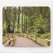 USA, Kalifornien, Marin Landkreis, Muir Woods Mousepad (Vorne)