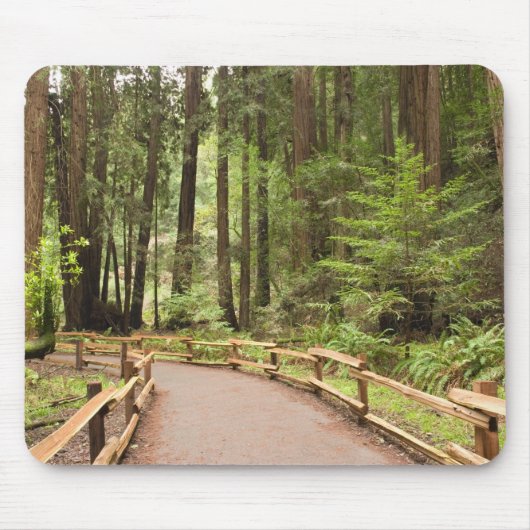 USA, Kalifornien, Marin Landkreis, Muir Woods Mousepad (Vorne)