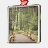 USA, Kalifornien, Marin Landkreis, Muir Woods Silbernes Ornament (Links)