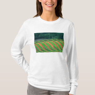 USA, Kalifornien, Mendocino County, ein Spalier T-Shirt