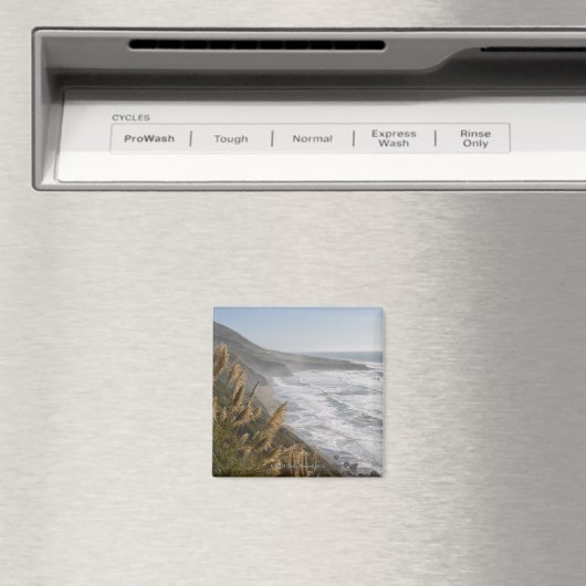 USA, Kalifornien, Mendocino Küste Magnet (In Situ (Geschirrspüler))