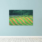 USA, Kalifornien, Mendocino-Landkreis, a trellis Leinwanddruck (Insitu (Holzboden))