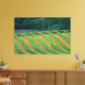 USA, Kalifornien, Mendocino-Landkreis, a trellis Leinwanddruck (Insitu (Wohnzimmer))