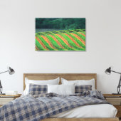 USA, Kalifornien, Mendocino-Landkreis, a trellis Leinwanddruck (Insitu (Schlafzimmer))