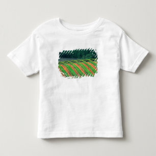 USA, Kalifornien, Mendocino Landkreis, ein getrick Kleinkind T-shirt