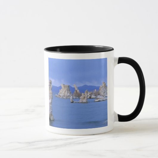 USA, Kalifornien, Mono Lake Tasse (Rechts)