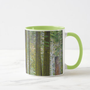 USA, Kalifornien. Moosbedeckte Baumstämme Tasse