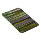 USA, Kalifornien. Moss Covered Tree Trunks Magnet (Rechte Seite)