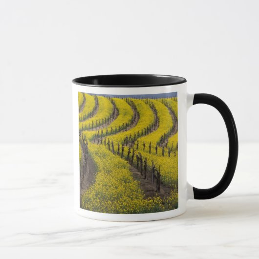 USA, Kalifornien, Napa Valley, Los Carneros Ava. Tasse (Rechts)
