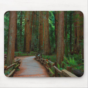 USA, Kalifornien. Pfad unter Redwood in Muir Mousepad