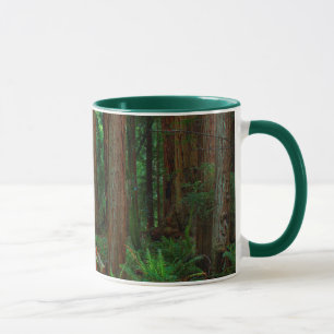 USA, Kalifornien. Pfad unter Redwood in Muir Tasse