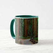 USA, Kalifornien. Pfad unter Redwood in Muir Tasse (Vorderseite Links)