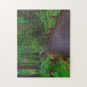 USA, Kalifornien. Pfad unter Redwood Puzzle (Vertikal)