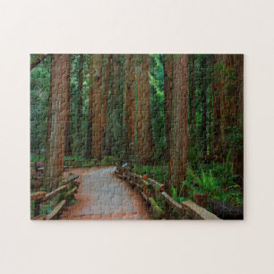 USA, Kalifornien. Pfad zwischen Redwoods in Muir Puzzle