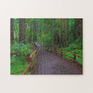 USA, Kalifornien. Pfad zwischen Redwoods Puzzle