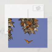 USA, Kalifornien, Pismo Beach. Monarch Postkarte (Vorne/Hinten)