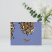 USA, Kalifornien, Pismo Beach. Monarch Postkarte (Stehend Vorderseite)