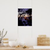 USA, Kalifornien, Point Lobos, Cypress tree und Poster (Küche)