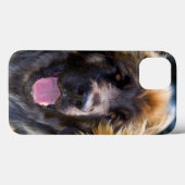 USA, Kalifornien. Portrait von Leonberger sitzend Case-Mate iPhone Hülle (Rückseite (Horizontal))