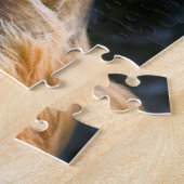 USA, Kalifornien. Portrait von Leonberger sitzend Puzzle (Seite)