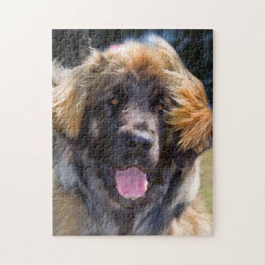 USA, Kalifornien. Portrait von Leonberger sitzend Puzzle (Vertikal)