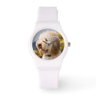 USA, Kalifornien. Porträt einer Labradoodle 3 Armbanduhr