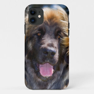 USA, Kalifornien. Porträt eines sitzenden Leonberg Case-Mate iPhone Hülle