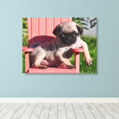 USA, Kalifornien. Pug Puppy Slouching Leinwanddruck (Insitu (Holzboden))