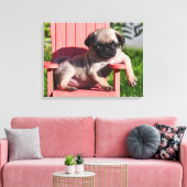 USA, Kalifornien. Pug Puppy Slouching Leinwanddruck (Insitu (Wohnzimmer))