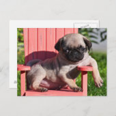USA, Kalifornien. Pug Puppy Slouching Postkarte (Vorne/Hinten)