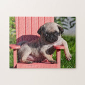 USA, Kalifornien. Pug Puppy Slouching Puzzle (Horizontal)
