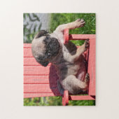 USA, Kalifornien. Pug Puppy Slouching Puzzle (Vertikal)