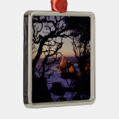 USA, Kalifornien, Punkt Lobos, Zypressenbaum und Silbernes Ornament (Rechts)