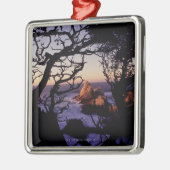 USA, Kalifornien, Punkt Lobos, Zypressenbaum und Silbernes Ornament (Links)