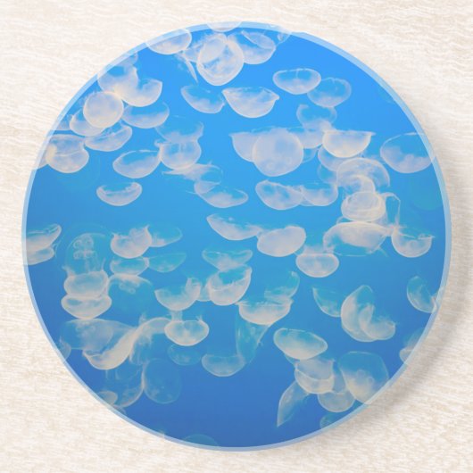 USA, Kalifornien. Quallen in der Bucht von Montere Getränkeuntersetzer (Vorne)