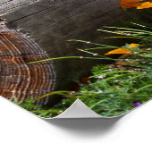 USA, Kalifornien. Queensland-Heiler Sitzung 2 Poster (Ecke)