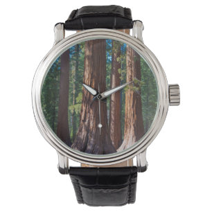 USA, Kalifornien. Redwood-Baumstämme, Mariposa Armbanduhr
