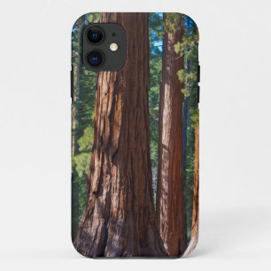USA, Kalifornien. Redwood-Baumstämme, Mariposa Case-Mate iPhone Hülle