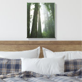 USA, Kalifornien, Redwood National Park, 2 Leinwanddruck (Insitu (Schlafzimmer))
