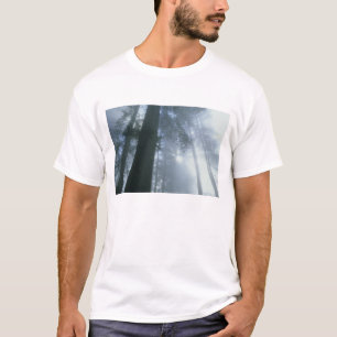 USA, Kalifornien, Redwood National Park, Del T-Shirt