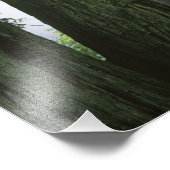USA, Kalifornien, Redwood National Park, Fotodruck (Ecke)