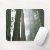 USA, Kalifornien, Redwood National Park. Mousepad (Mit Mouse)