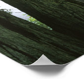 USA, Kalifornien, Redwood National Park, Poster (Ecke)