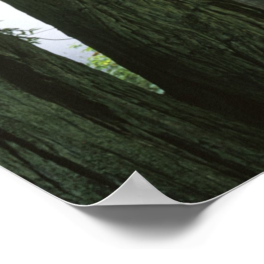 USA, Kalifornien, Redwood National Park, Poster (Ecke)