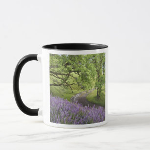 USA, Kalifornien, Redwood-Nationalpark. Erde Tasse