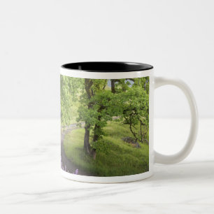 USA, Kalifornien, Redwood-Nationalpark. Erde Zweifarbige Tasse