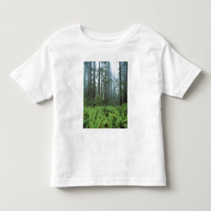 USA, Kalifornien, Redwood NP. Ferns und Kleinkind T-shirt