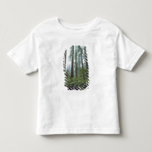 USA, Kalifornien, Redwood NP. Nebel filtert das Kleinkind T-shirt